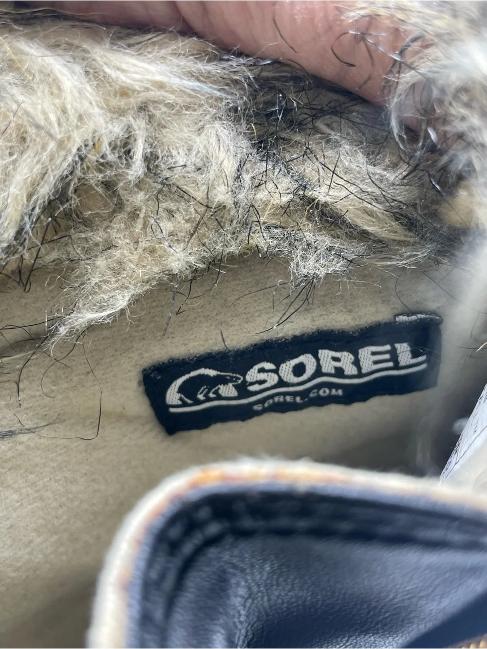 Sorel Northern Lite Tall Suede Zip Boot in Mustard.